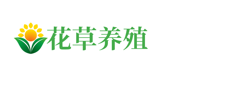 飞跃中文网(onread.cn)
